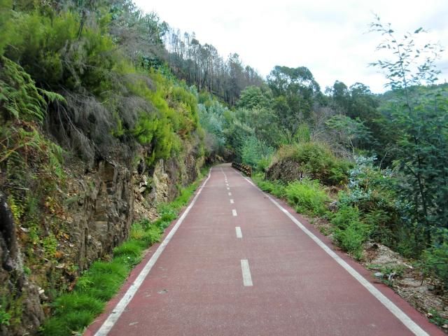 photo CIMG2045_zps3f8d67dc.jpg