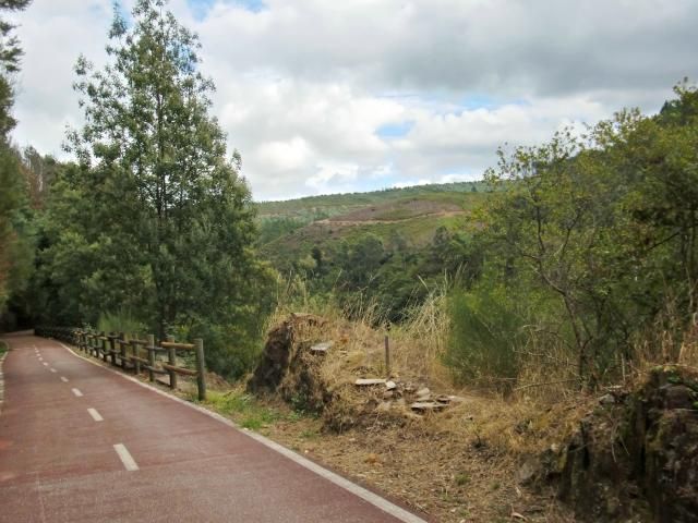 photo CIMG2047_zps8501fd60.jpg