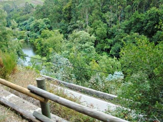 photo CIMG2048_zpsfd74efe4.jpg