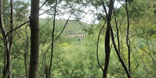 photo CIMG2050_zps27bb2757.jpg