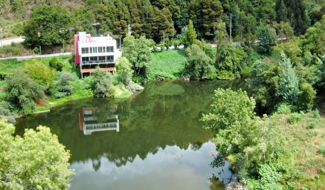 photo CIMG2057_zps3a302683.jpg