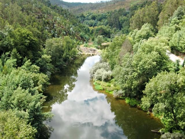 photo CIMG2058_zpsff562ef0.jpg