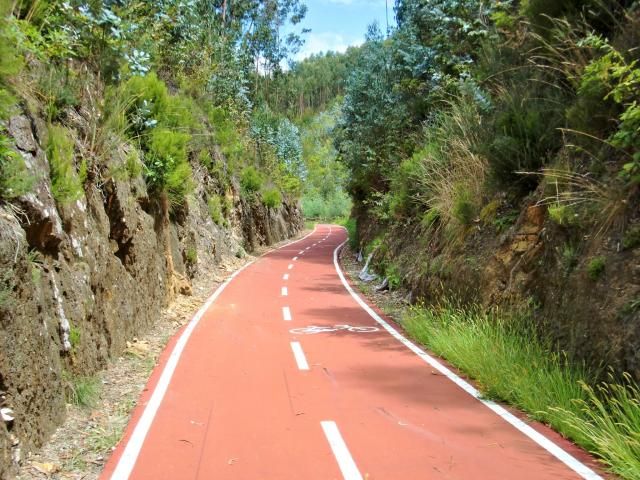 photo CIMG2104_zps40f529d8.jpg