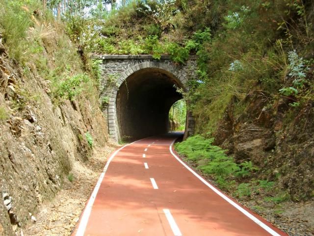 photo CIMG2105_zps73e2e894.jpg