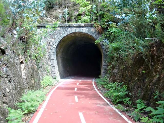 photo CIMG2109_zps1d8f13d9.jpg