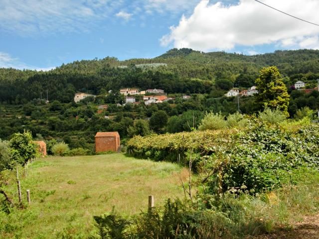 photo CIMG2114_zps68d6adf5.jpg