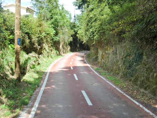 photo CIMG2137_zpsd62137e1.jpg