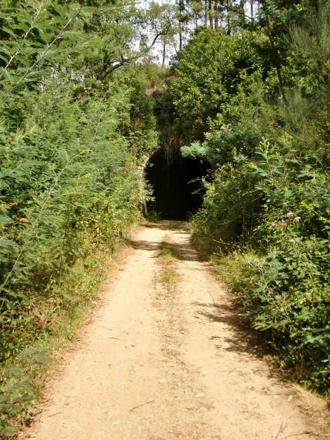 photo CIMG2138_zps3092ef4f.jpg