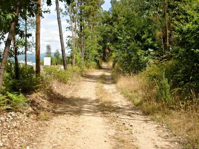 photo CIMG2140_zpsee167b0a.jpg