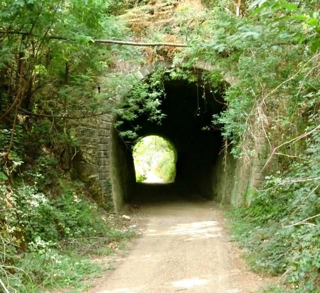 photo CIMG2141_zps9b3e7140.jpg