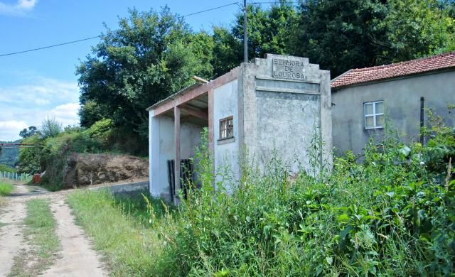 photo CIMG2142_zps69fa439a.jpg