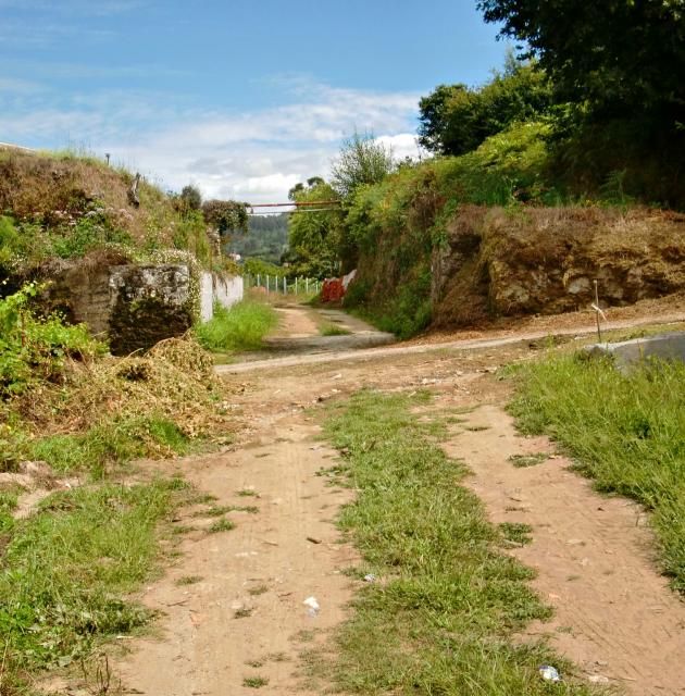 photo CIMG2143_zps123c28c3.jpg