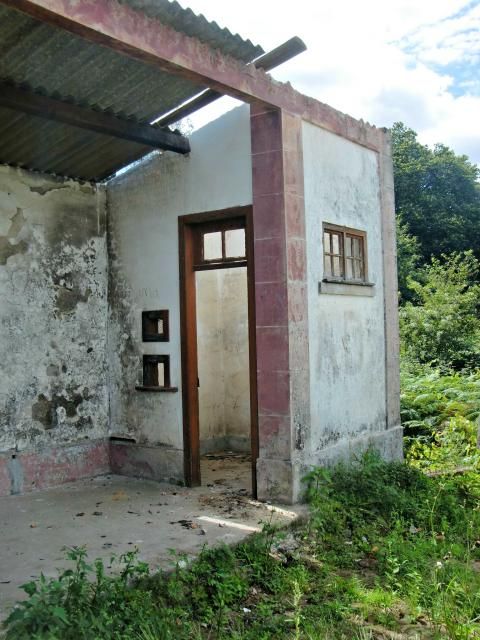 photo CIMG2144_zps32a5e0c4.jpg