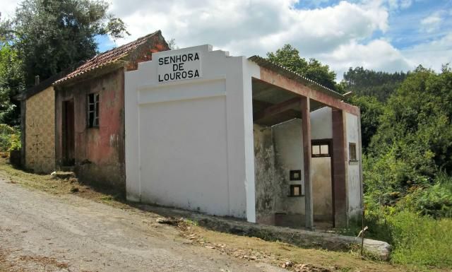 photo CIMG2145_zps9280f5d8.jpg