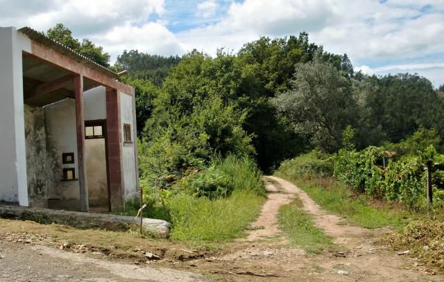 photo CIMG2146_zpsb123d61d.jpg