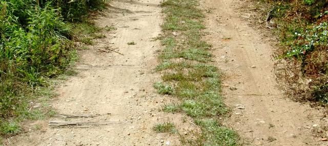 photo CIMG2147_zpsd3e035e7.jpg