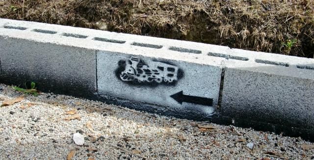 photo CIMG2148_zps905e271c.jpg