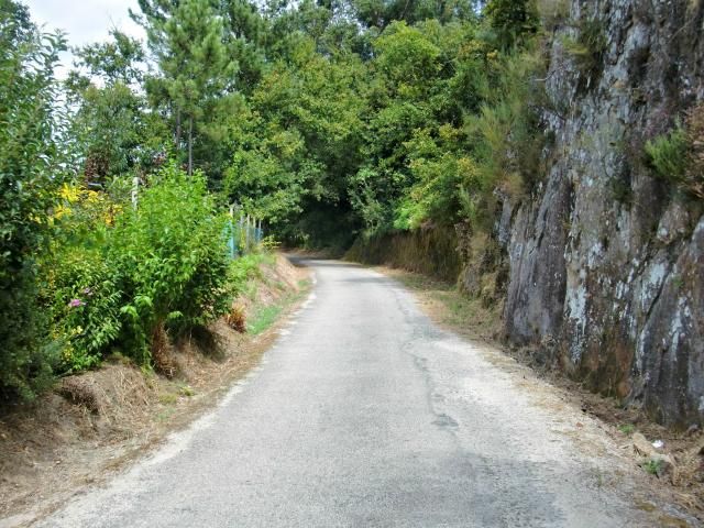 photo CIMG2155_zpsd9656169.jpg