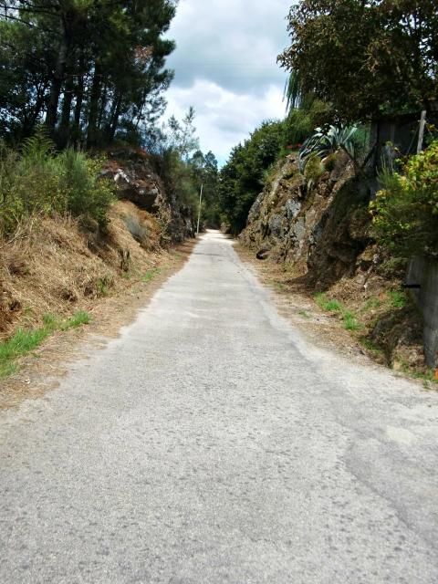 photo CIMG2156_zps7c27319f.jpg