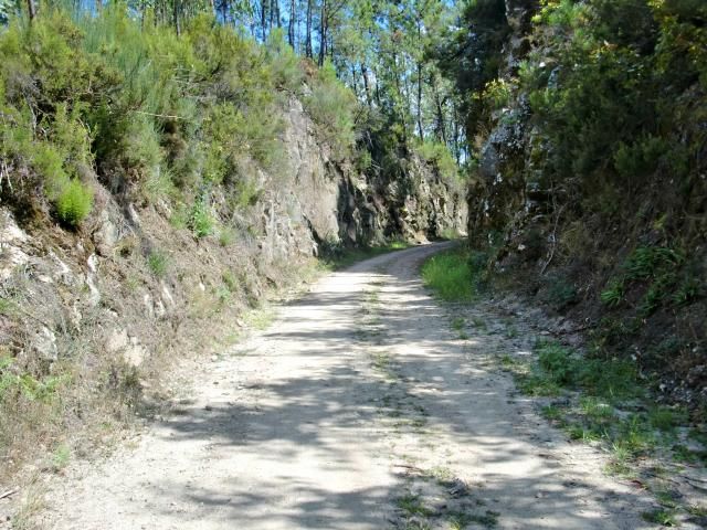 photo CIMG2157_zpsd21b80c2.jpg