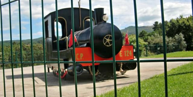 photo CIMG2160_zps5e214191.jpg