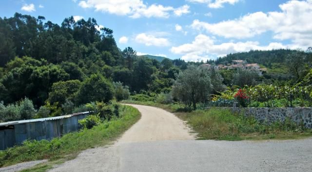 photo CIMG2164_zps87bf7faa.jpg