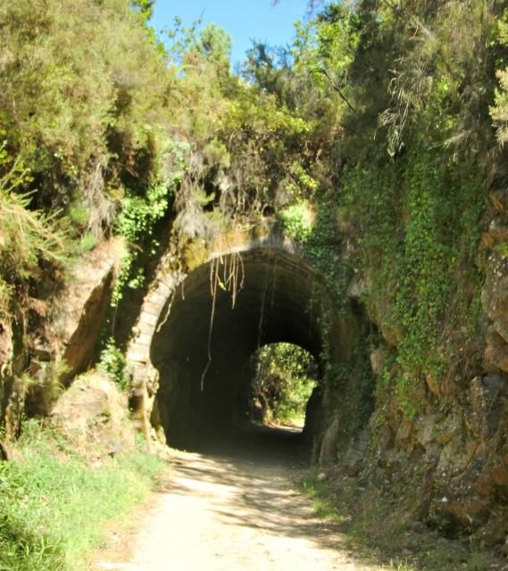 photo CIMG2165_zps1e5bb792.jpg