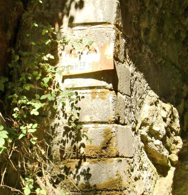 photo CIMG2166_zpse6c5fe9b.jpg