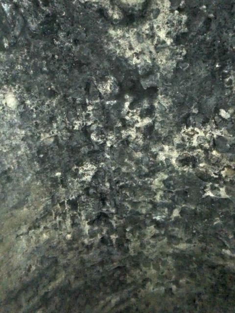 photo CIMG2167_zpsbb1337b0.jpg