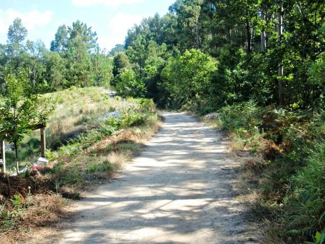 photo CIMG2170_zps7c7f31c5.jpg