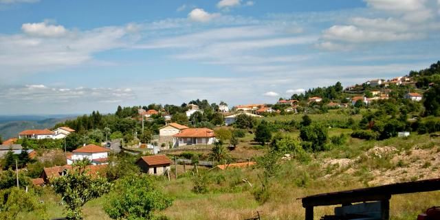 photo CIMG2171_zps02e3196f.jpg