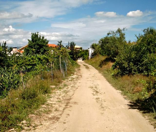 photo CIMG2172_zps566829d0.jpg