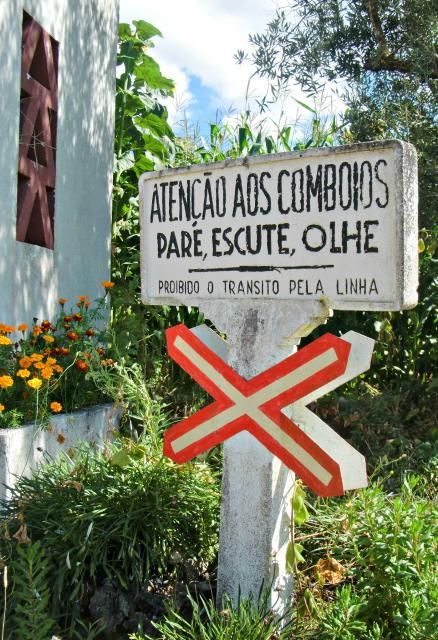 photo CIMG2175_zpsc704d99f.jpg