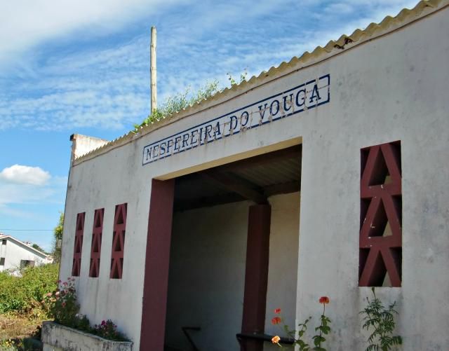 photo CIMG2176_zps2ff81e29.jpg