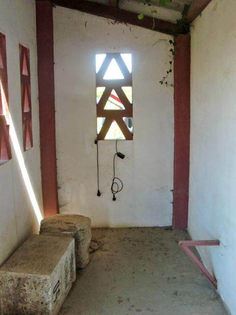 photo CIMG2177_zps975a0f28.jpg