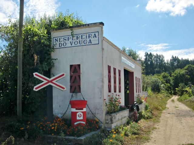 photo CIMG2180_zpsd155a6b7.jpg