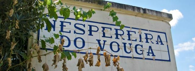 photo CIMG2181_zpse6377507.jpg