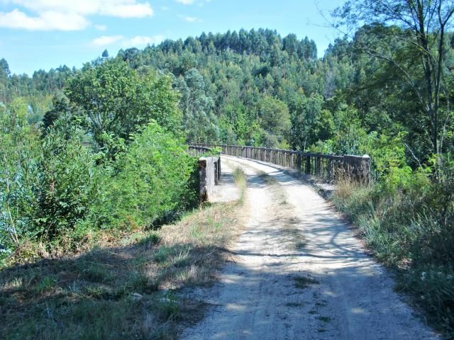 photo CIMG2183_zpsc2efbad1.jpg