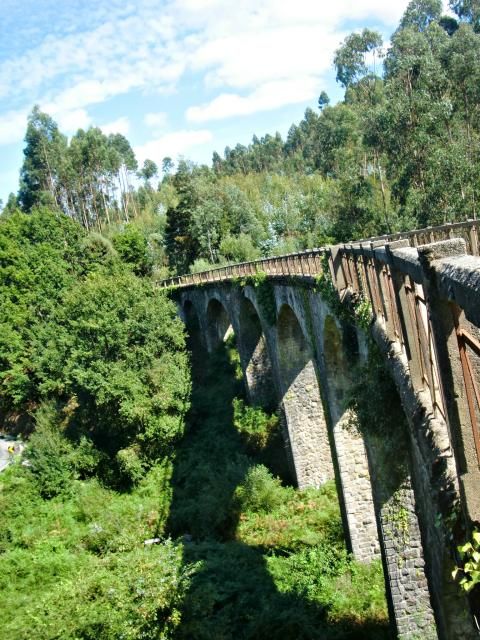 photo CIMG2185_zps6ff4f604.jpg