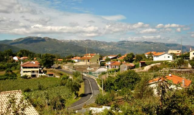 photo CIMG2201_zps732298bf.jpg