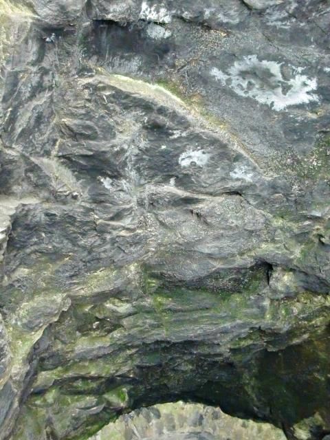 photo CIMG2206_zps23fd4a5a.jpg