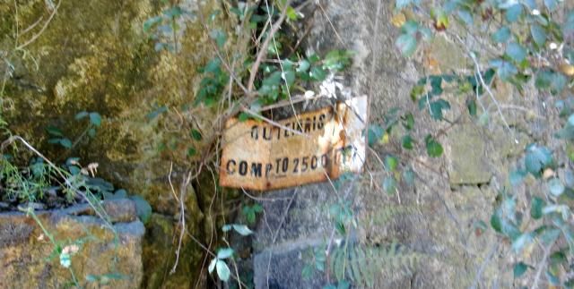 photo CIMG2208_zps7c8b65f9.jpg