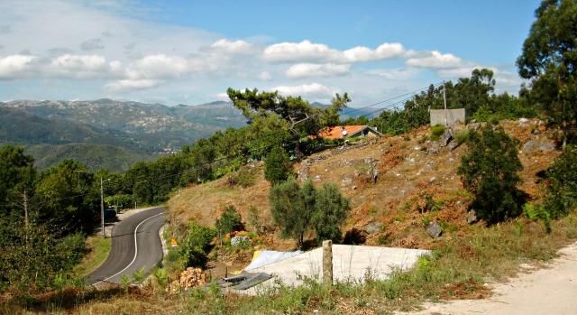 photo CIMG2209_zpsaf828f72.jpg