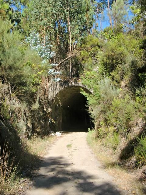 photo CIMG2210_zps840f5021.jpg