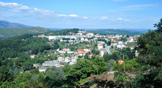 photo CIMG2211_zps9fa1dfdd.jpg