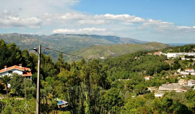 photo CIMG2212_zps5a0dca23.jpg