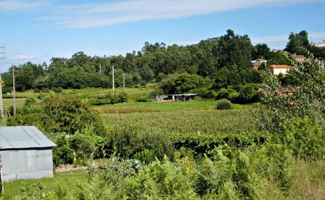 photo CIMG2214_zps2b87b54b.jpg