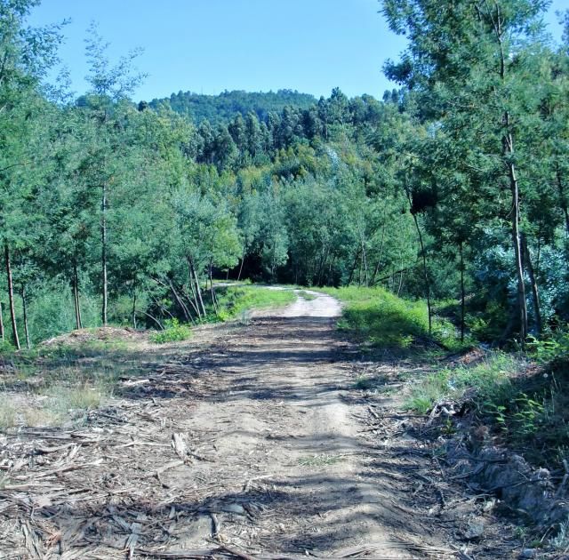 photo CIMG2218_zps4bf62436.jpg