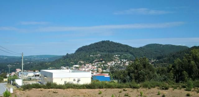 photo CIMG2219_zpsdc844dcc.jpg