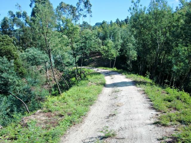 photo CIMG2221_zps6baa67dc.jpg